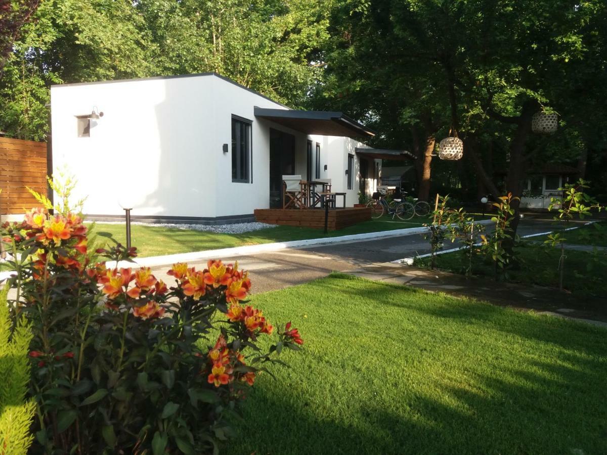 Gkaras Campsite & Apartments Leptokaria Exteriér fotografie